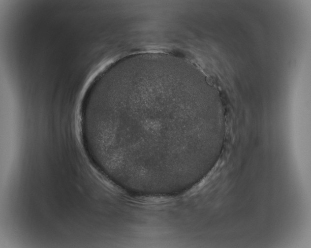 X0000112930342200908311322