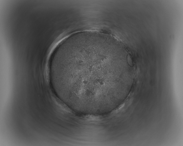 X0000112930343200908311322