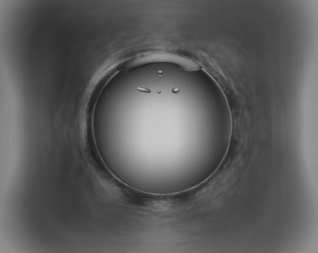 X0000112930344200908311322