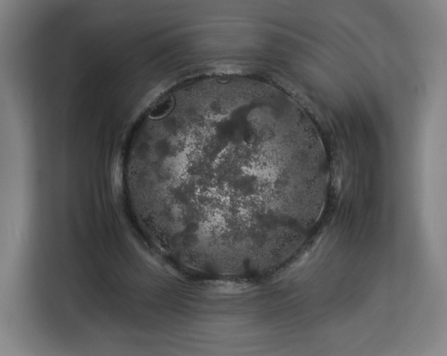 X0000112930347200908311322