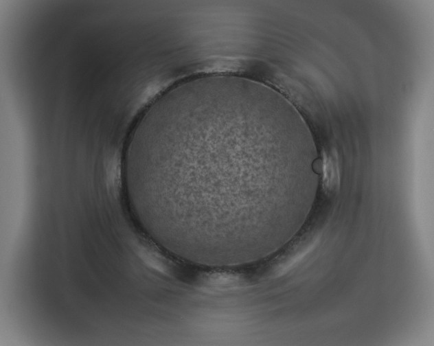 X0000112930348200908311322