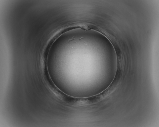 X0000112930350200908311322