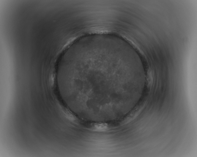 X0000112930355200908311322