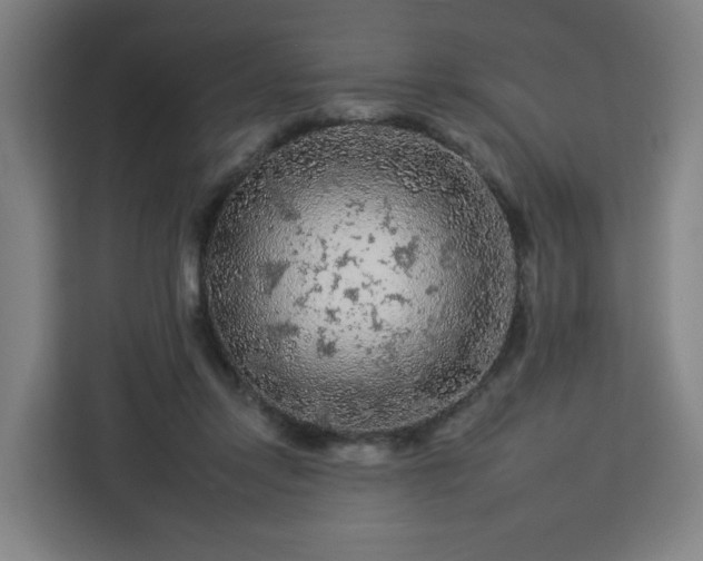 X0000112930358200908311322