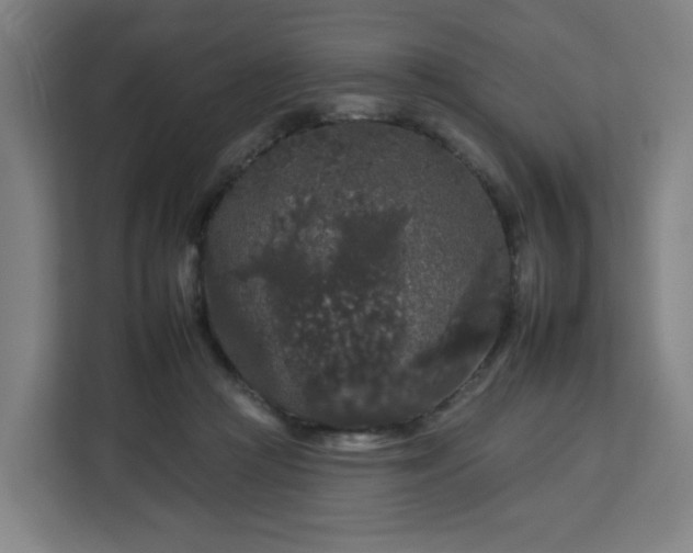 X0000112930361200908311322