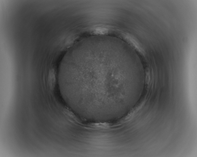 X0000112930363200908311322