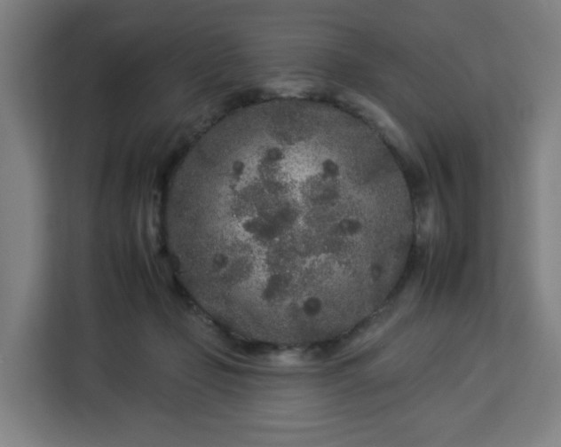 X0000112930365200908311322