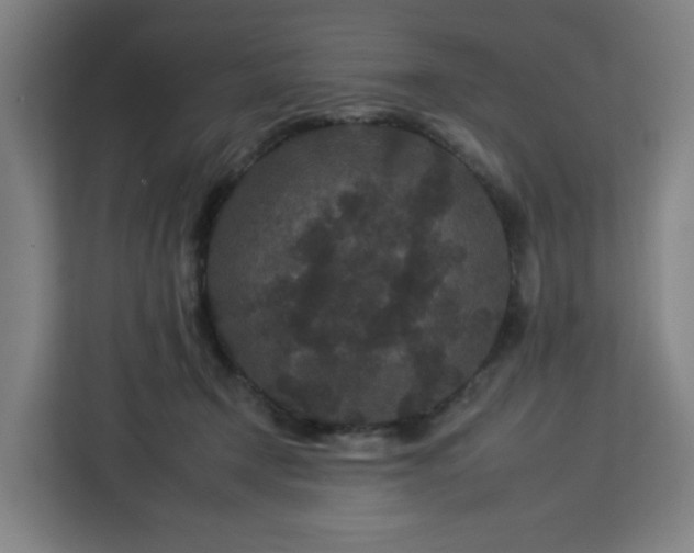 X0000112930366200908311322