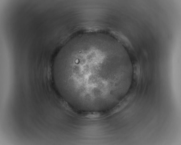 X0000112930369200908311322