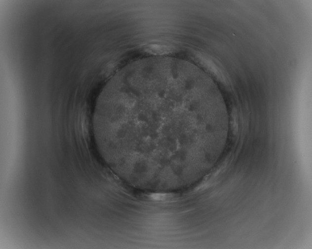 X0000112930371200908311322