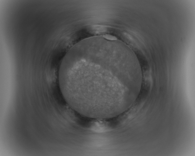 X0000112930372200908311322