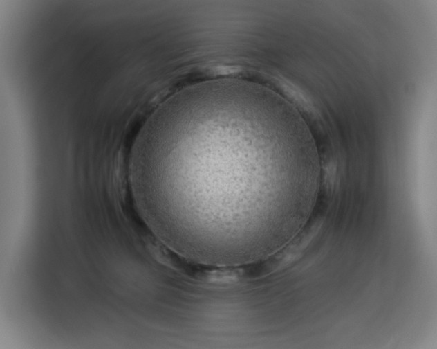 X0000112930373200908311322