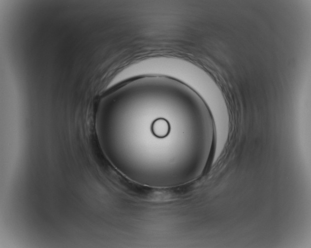 X0000112930376200908311322