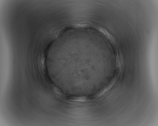 X0000112930377200908311322