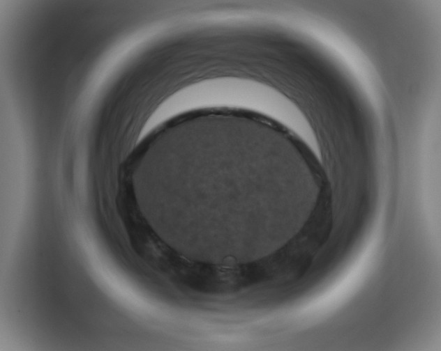 X0000112930382200908311322