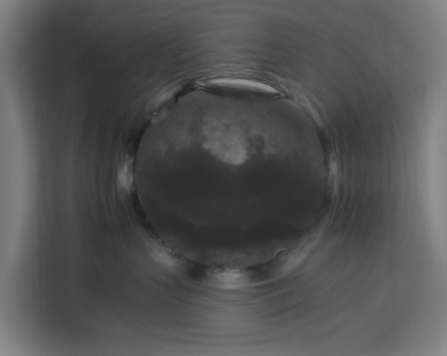 X0000112930383200908311322