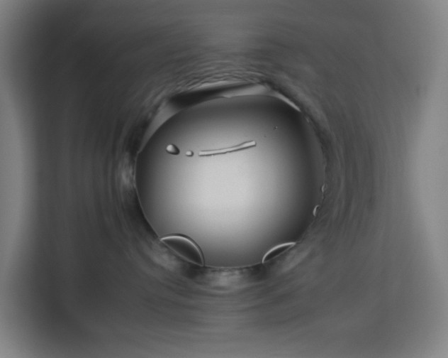 X0000112930384200908311322