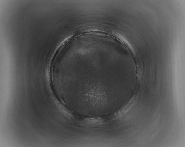 X0000112930386200908311322