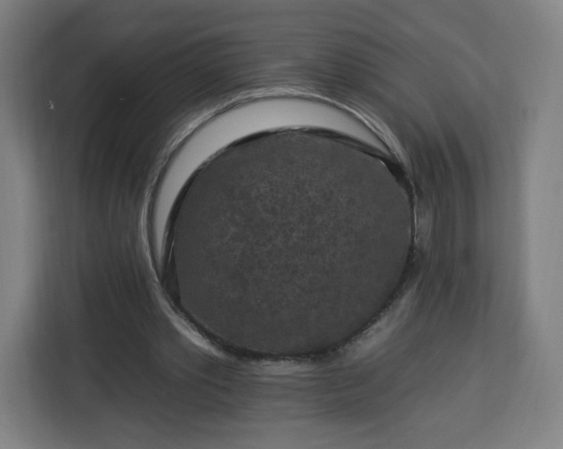 X0000112930389200908311322