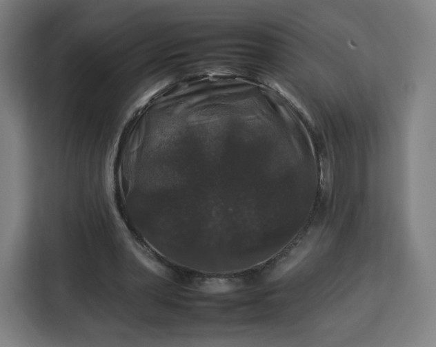 X0000112930390200908311322