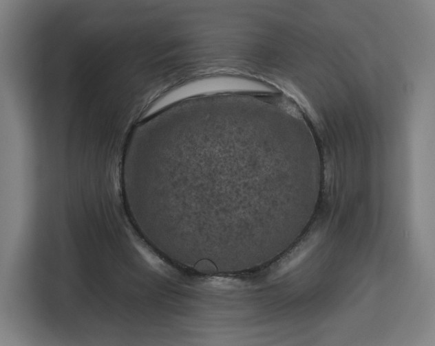 X0000112930393200908311322