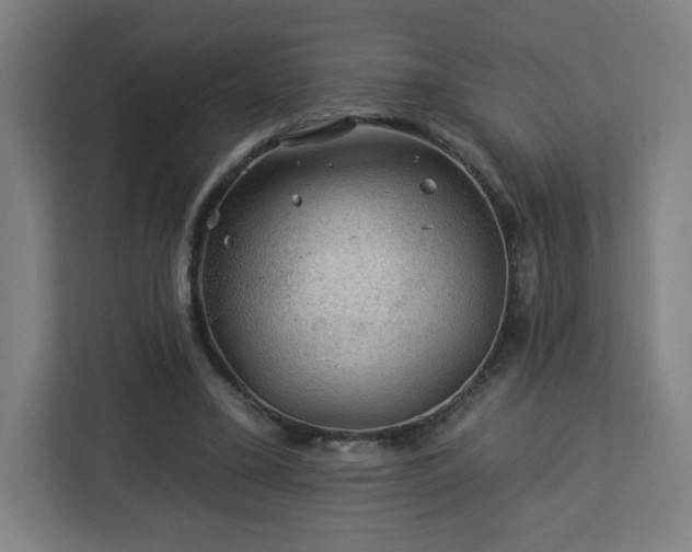 X0000112930395200908311322