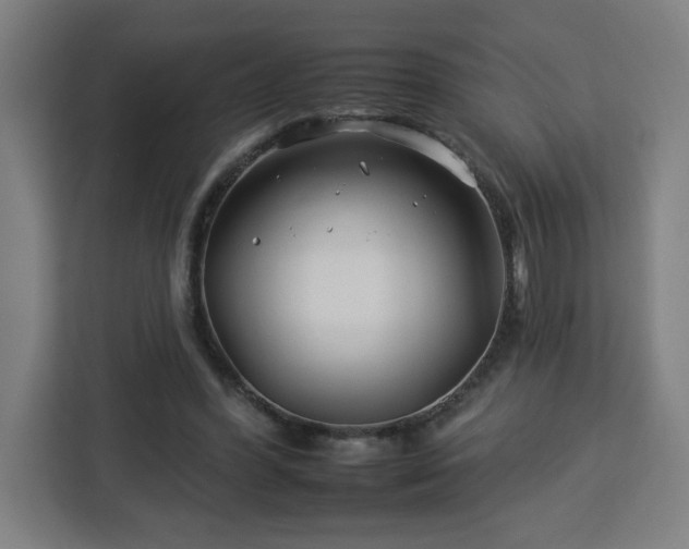 X0000112930396200908311322