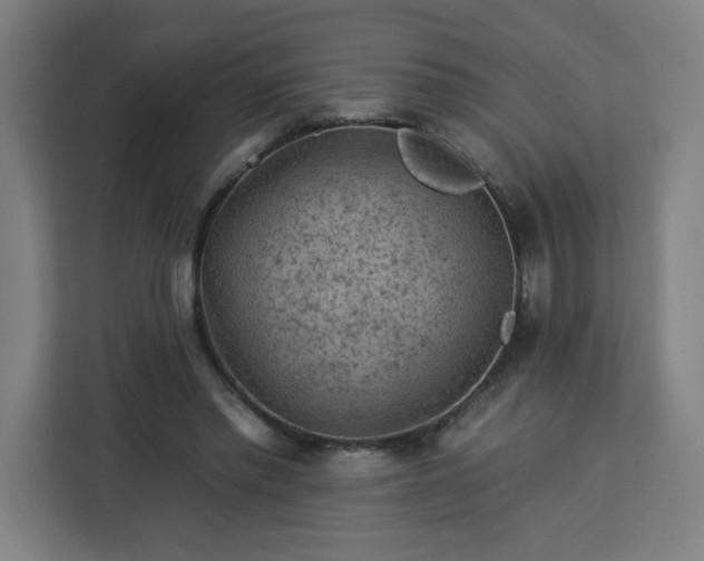 X0000112930397200908311322