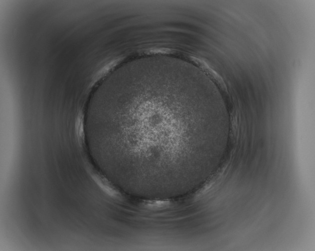 X0000112930398200908311322