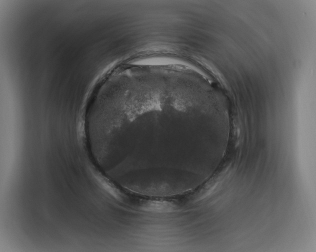 X0000112930399200908311322