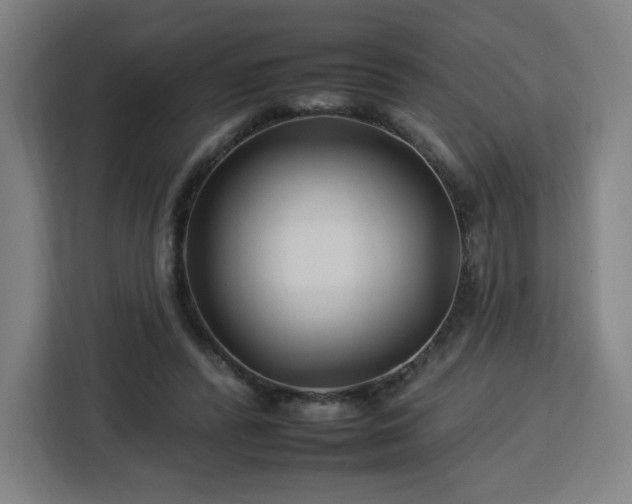 X0000112930400200908311321