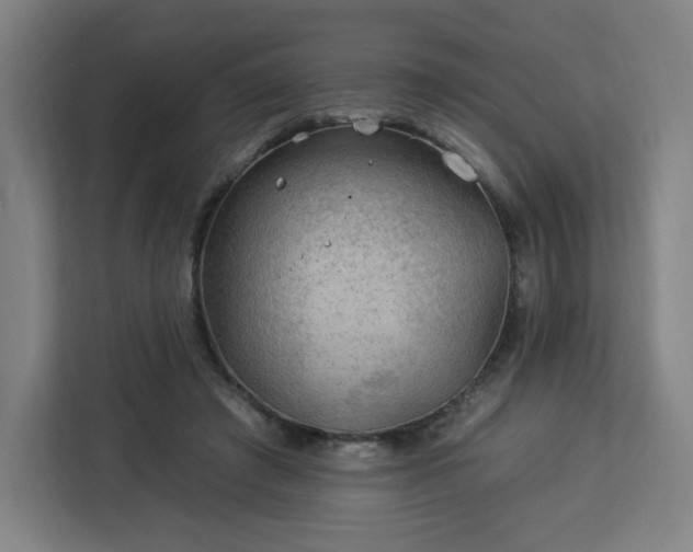 X0000112930401200908311321