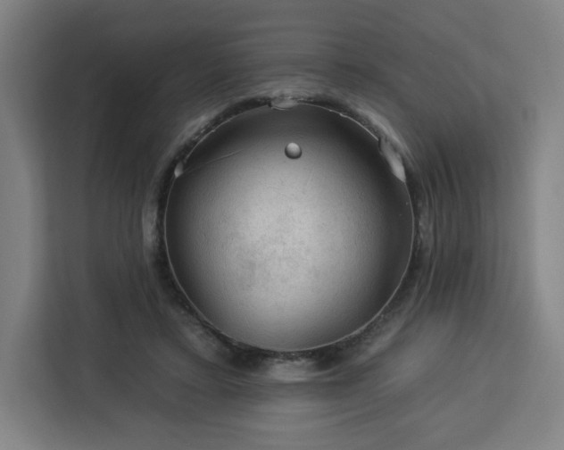 X0000112930403200908311321