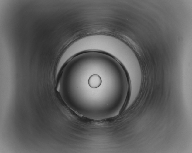 X0000112930405200908311321