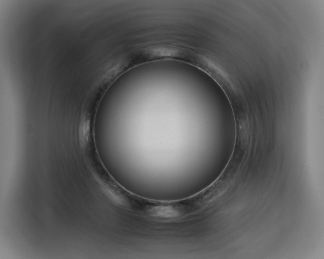 X0000112930406200908311321