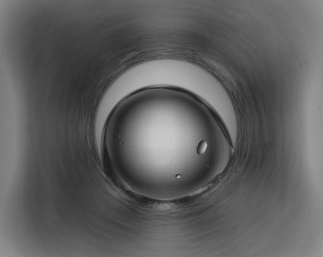 X0000112930409200908311321