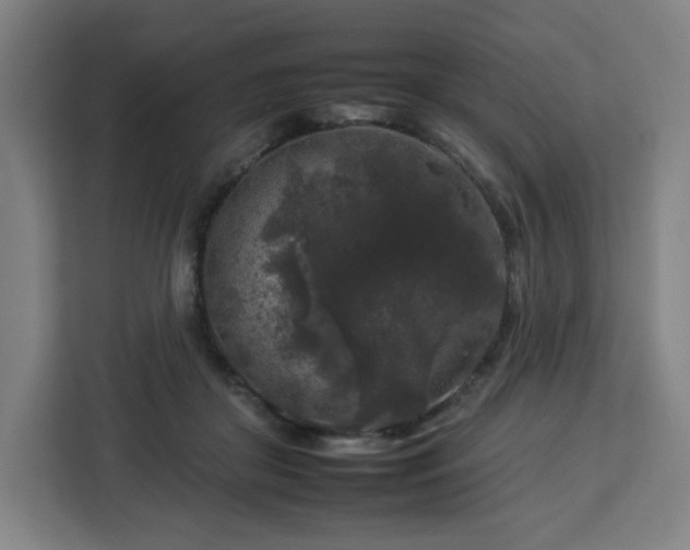 X0000112930410200908311321