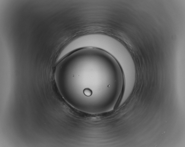 X0000112930411200908311321