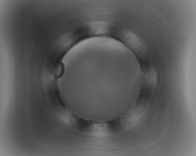 X0000112930415200908311321