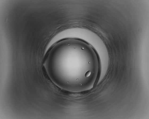 X0000112930417200908311321