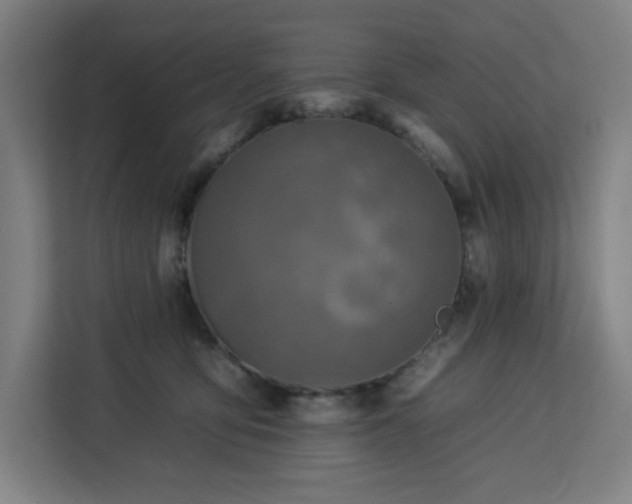 X0000112930419200908311321