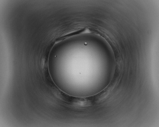 X0000112930420200908311321