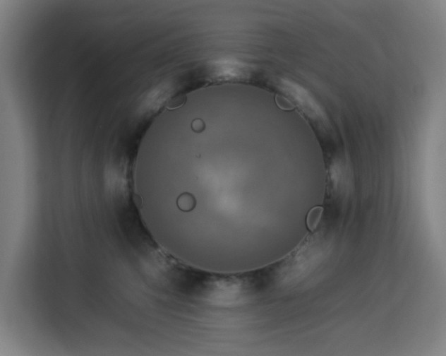 X0000112930423200908311321