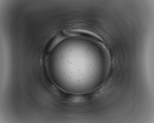 X0000112930424200908311321