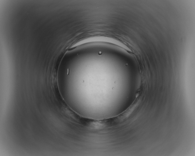 X0000112930425200908311321