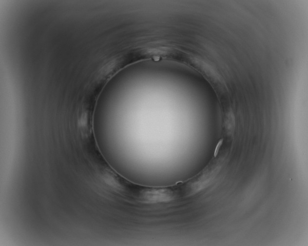 X0000112930428200908311321