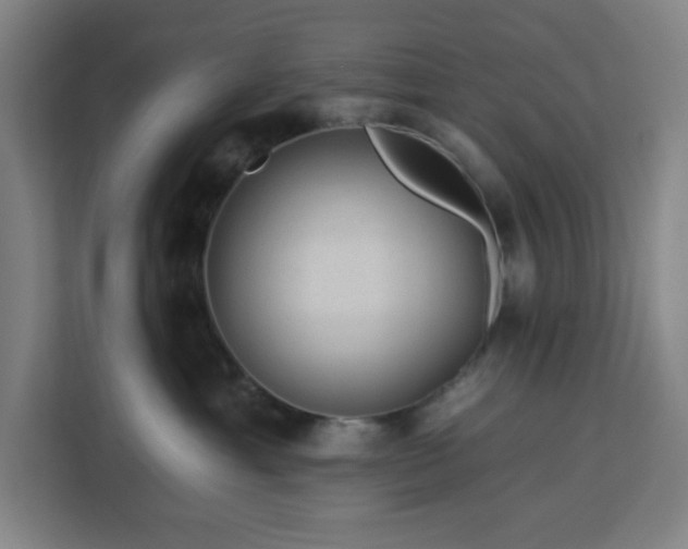 X0000112930429200908311321