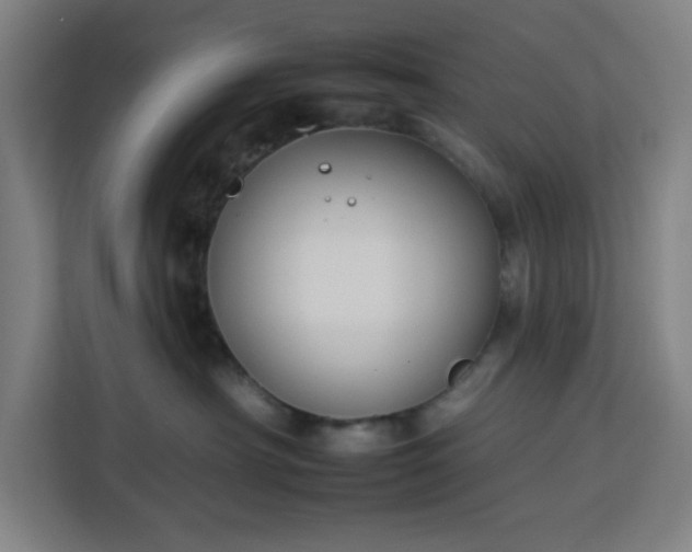 X0000112930430200908311321