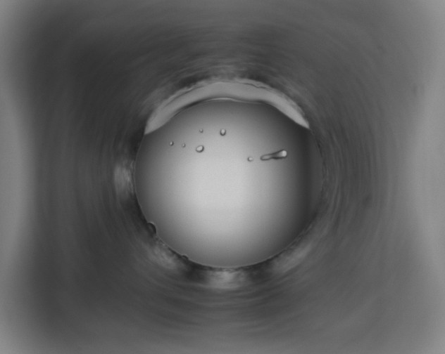 X0000112930432200908311321