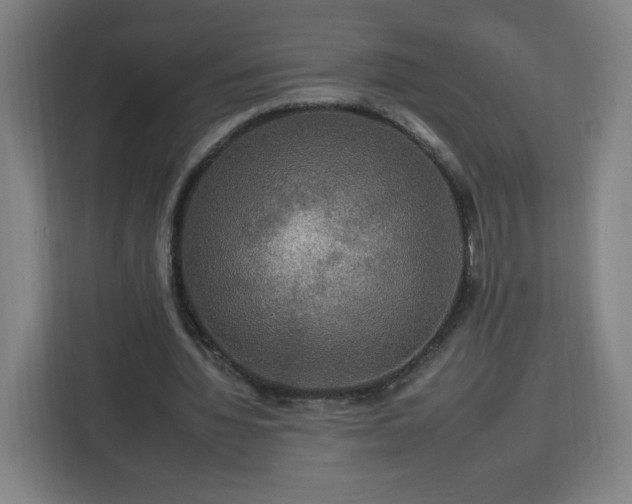 X0000112930436200908311320